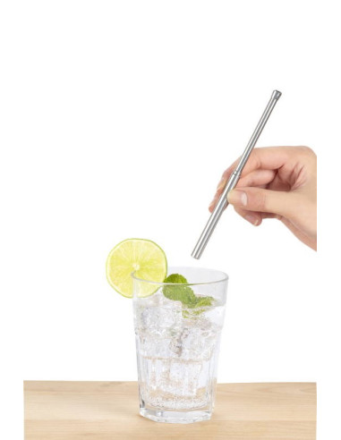 Paille inox de voyage