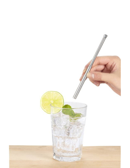 Paille inox de voyage