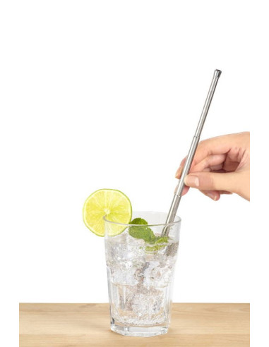 Paille inox de voyage